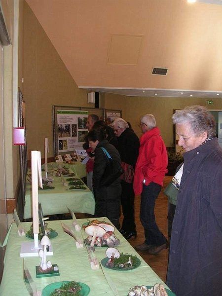 Expo champignons a St Leger 86